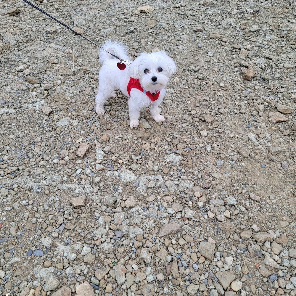 Meet your Posher, Kelly